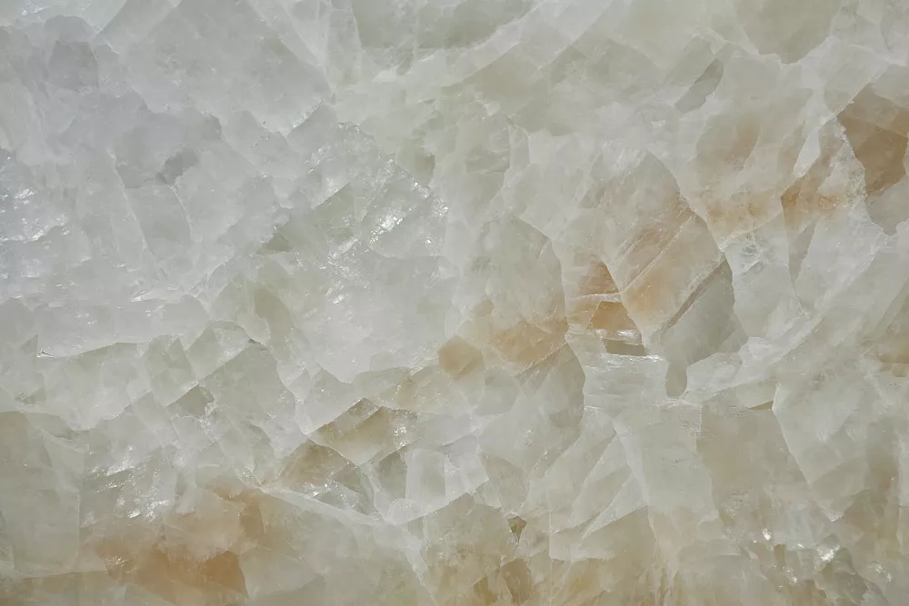 Хани